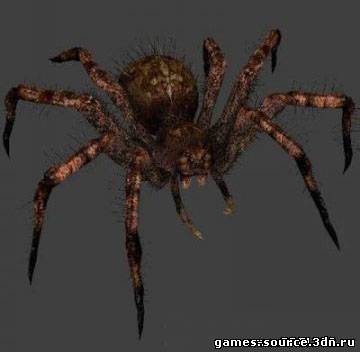 Spider Skin
