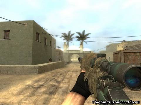 Sig 550 -CoD4